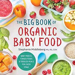 The Big Book of Organic Baby Food.
