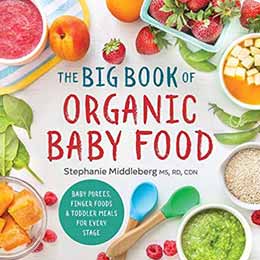 The Big Book of Organic Baby Food.