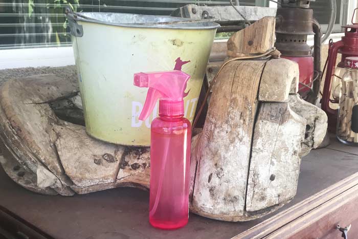 Homemade Mosquito Bug Repellent Spray