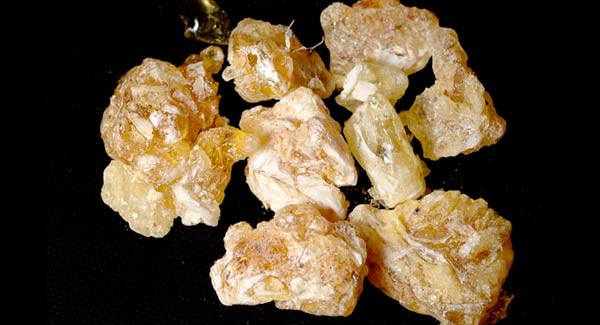 Frankincense Essential Oil